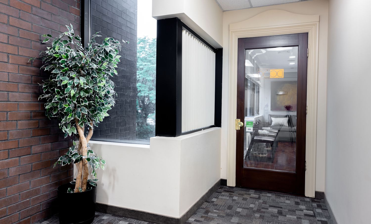 Office hallway with plant and glass door.